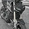 Omar salameh - @omarsalameh815 - TikTok