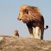 Omar Salameh - Facebook