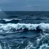 Omar Salameh - @omar.salameh0 - TikTok