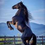 Omar Salti - @jsiwksa - Instagram