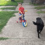Gustavo Schmidt - @gustavo_omar_schmidt - Instagram