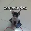 Omar Schmidt - @omeerkat - TikTok