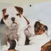 Omar Scott - @omar.scott04 - TikTok