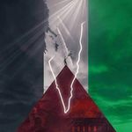 Omar M. Selim - @omarselim - Instagram