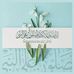 Omar Selim - Facebook