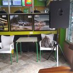 Omar Senior - @omar.senior.50999 - Instagram