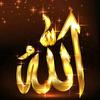 omar_sharf - @omarsharf1234 - TikTok