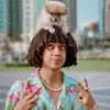 Omar Shawar🔥 - @omar.shawar888 - TikTok