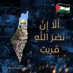 Omar El Shayeb - @dromarelshayeb - Instagram