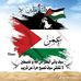 Omar Shazly Nour - Facebook