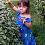 omar shirzai - @omar_shir - Instagram