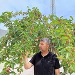 عمر سيدانى - @omarsidani82 - Instagram
