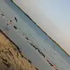 Omar Siraj - @omarsiraj2 - TikTok