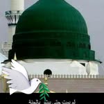 Omar Siraj Kaki - @omar.kaki.165 - Instagram
