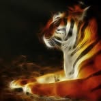 Umar Skinner - Facebook