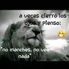 el de LA nueva Italia - @omarsolorio429 - TikTok