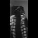 Omar Sorour - Facebook