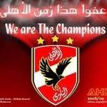 Omar Sorour - @omar_sorour25 - Instagram