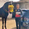 Omar Soufi - @omarsoufi175 - TikTok