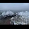 Omar Tavarez - @omar.tavarez60 - TikTok