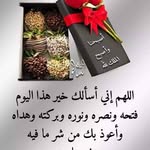 Omar Tayeb - @omar.tayeb.7 - Instagram