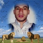 Omar Tayeb - @o.tayeb - Instagram