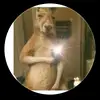 omar_teran010 - @omar_teran010 - TikTok