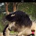 Omar Tinoco - Facebook