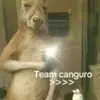 Omar Tinoco - @omar.tinoco4 - TikTok