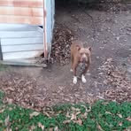 Omar Townsend - Facebook