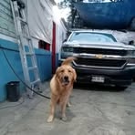 Omar Urbano - Facebook