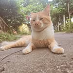 omar urias - @jose882011 - Instagram