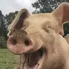 Omar Valadez - @omar.valadez749 - TikTok