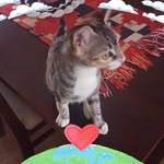 Omar Valentin Escudero - @omarvalentinescudero - Instagram