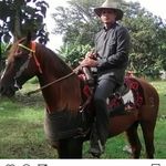 Omar Vallenilla - @omarvallenilla - Instagram