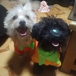 Omar Vallejo - @oscaromarvallejoa - Instagram
