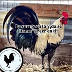 Omar Vallejo - Facebook
