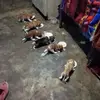 Omar Vanegas - @omar.vanegas20 - TikTok
