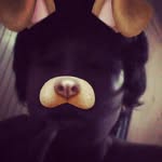 omar venegas - @lil_omi_1005 - Instagram