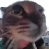 omarvigil24 - @omarvigil24 - TikTok