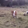 Omar Vilchis - @omar.vilchis81 - TikTok