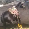 Omarr Vilchis - @omarr.vilchis - TikTok