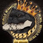 Omar Vivas - @cali_kingzxxlbulliez_omar - Instagram