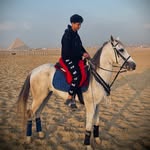 Omar Wael - @omar___wael72 - Instagram