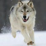 omar waked 963 - @omar.waked963 - Instagram