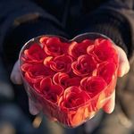 Omar Abu Wardeh - @oabuwardeh - Instagram