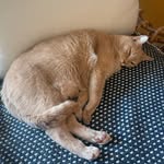 Omar Webb - @omarlwebb - Instagram