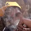 Omar Webb - @omarwebb105 - TikTok