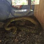 Omar Whyte - @omar.whyte.56 - Instagram