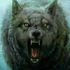 omar wills - @omarwills81 - TikTok